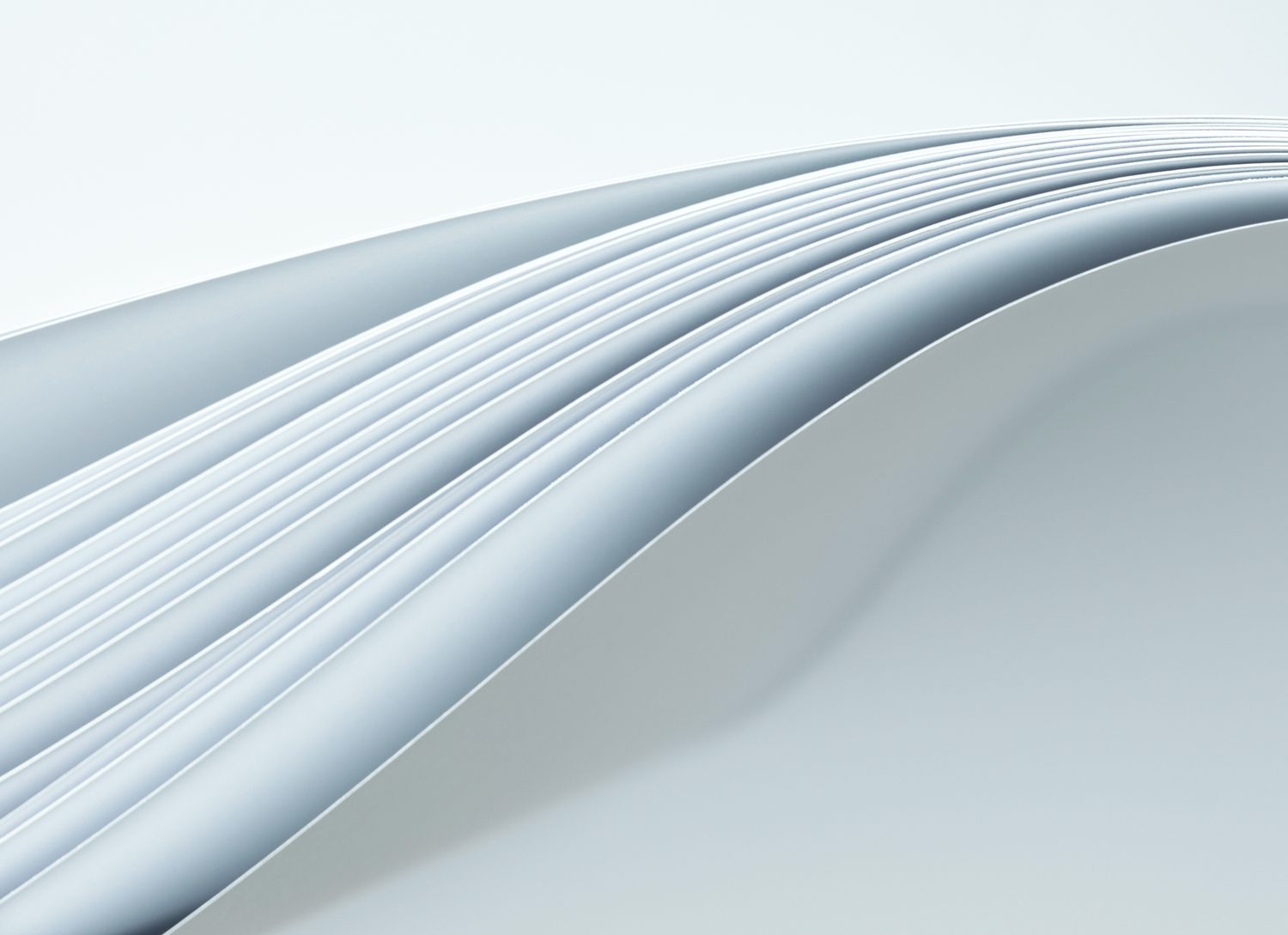 Papel blanco